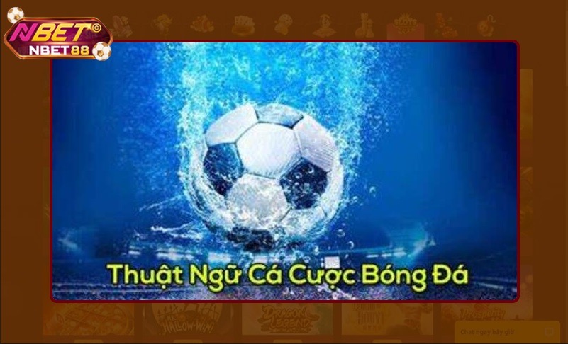Các thuật ngữ cơ bản trong cá cược bóng đá
